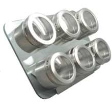 Stainles Steel Magnetic Spice Rack (CL1Z-J0604-6F)